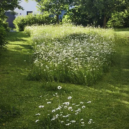 Rhoenquartier *